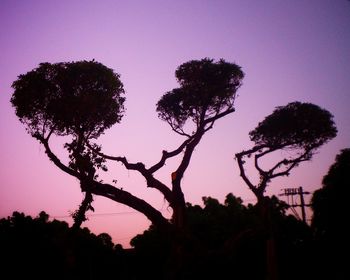 Low angle view of silhouette trees against sky at sunset