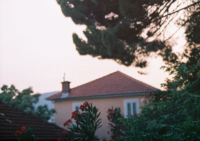 Trees and building against sky