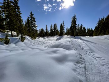 snow