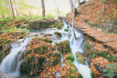 Scenic view of waterfall in forest