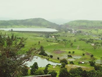 Scenic view of agricultural field against sky