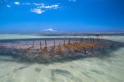 Scenic view of beach against cloudy sky