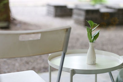 Close-up of potted plant