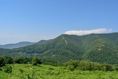Scenic view of landscape against sky