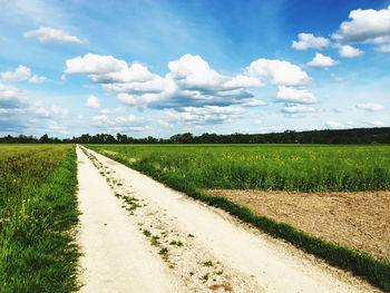 Scenic view of field against sky