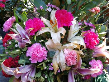 High angle view of pink roses