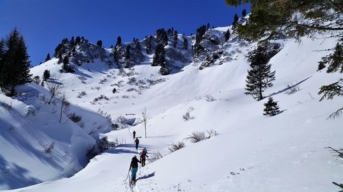 Snow covered trees against sky