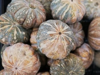 High angle view of pumpkins for sale at market stall