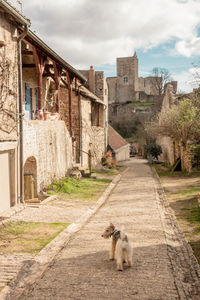 Dog amidst buildings in old village