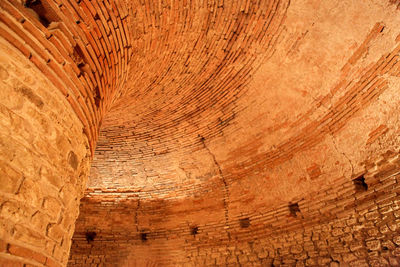 Full frame shot of tree trunk