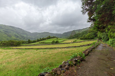 Scenic view of landscape against sky