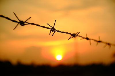 Silhouette of barbed wire against sky during sunset