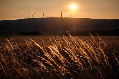 Scenic view of field against sky during sunset