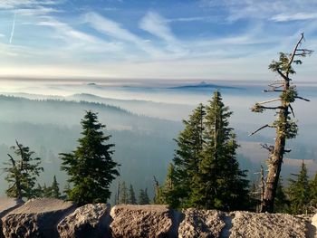 Scenic view of landscape against sky