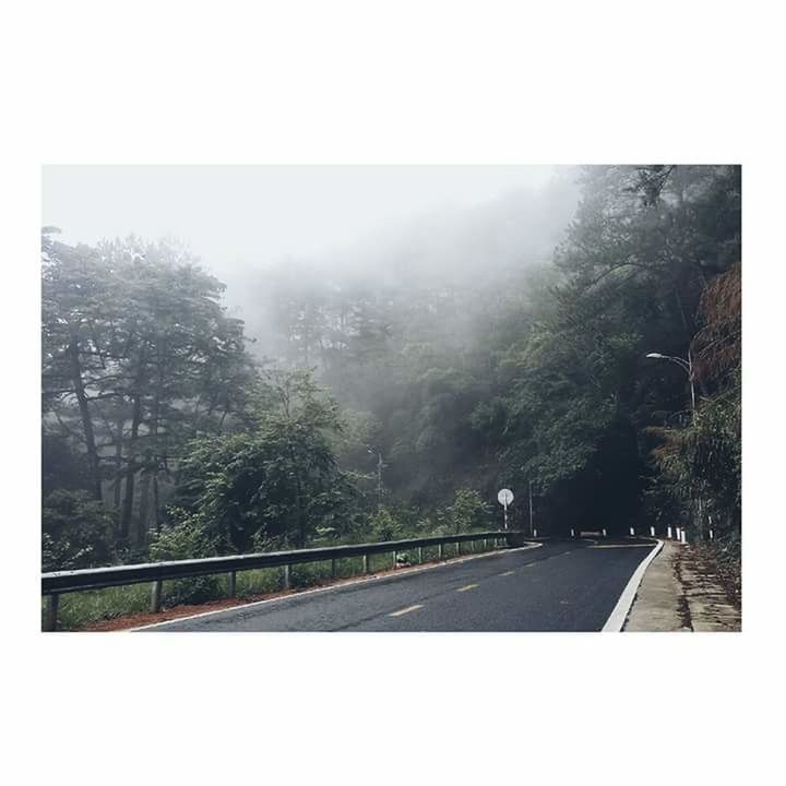 ROAD BY TREES AGAINST SKY IN FOGGY WEATHER