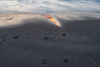 High angle view of a beach