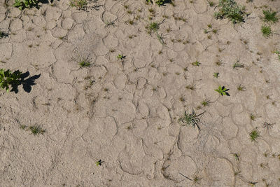 Full frame shot of sand