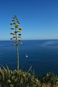 Scenic view of sea against clear blue sky