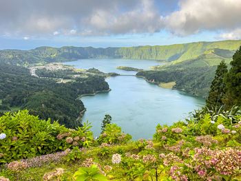 High angle view of trees and mountains against sky