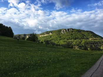 Scenic view of field against sky