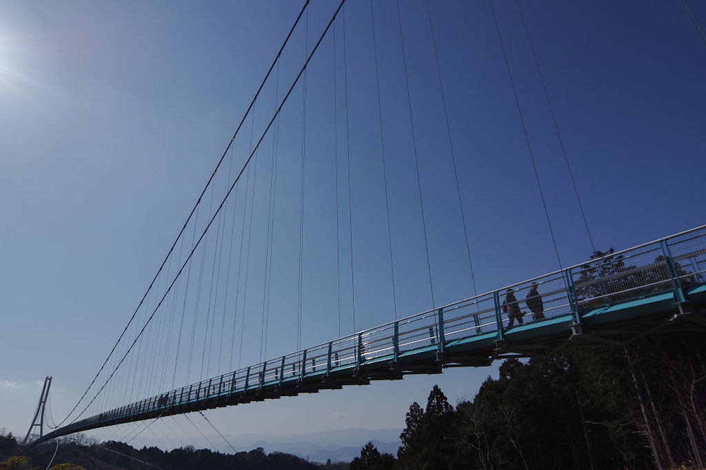 bridge - man made structure, connection, suspension bridge, engineering, transportation, bridge, cable, architecture, built structure, outdoors, sky, no people, low angle view, day, holiday, city, line