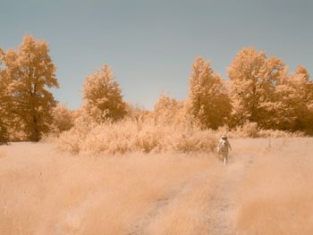 Man walking on field against sky