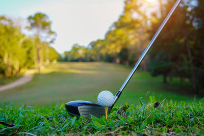 Golf club and golf ball close up in grass field with sunset.