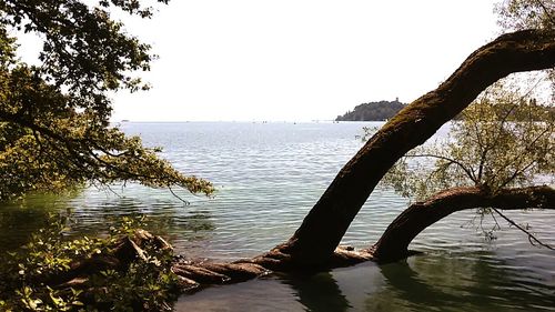 Scenic view of lake against clear sky