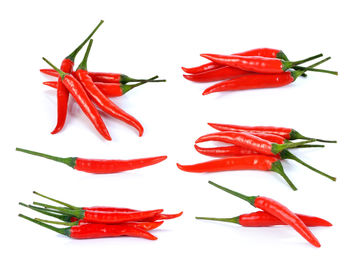 Close-up of red chili pepper against white background