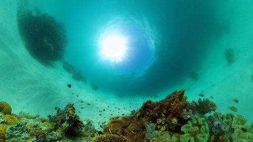 sea