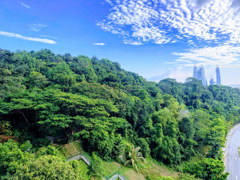 Scenic view of forest against sky