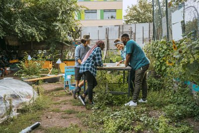 Multiracial female and male farmers at table in urban garden