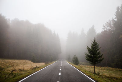 Road amidst trees during rainy season