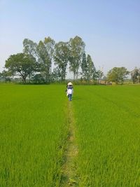 Scenic view of grassy field against sky