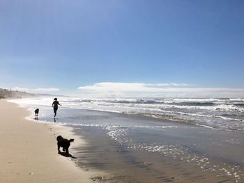 Silhouette woman and dogs at beach on sunny day