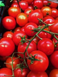 Full frame shot of tomatoes