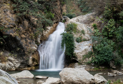 Scenic view of waterfall in forest