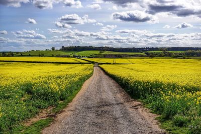 Scenic view of field against cloudy sky