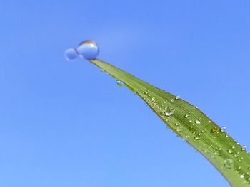 Low angle view of raindrops on blue sky