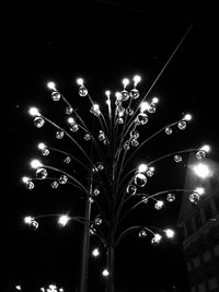 Low angle view of illuminated fireworks against sky at night