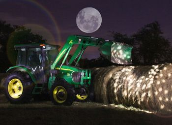 View of trees on field at night