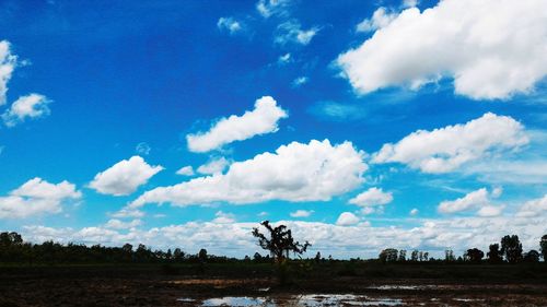 Scenic view of landscape against cloudy sky