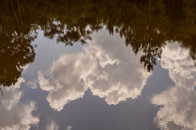 reflection