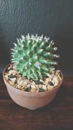 Close-up of potted plant on table