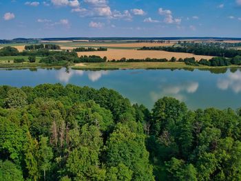 Scenic view of trees in forest against sky