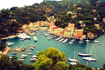 Boats in harbor