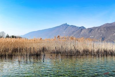 Scenic view of lake against clear blue sky