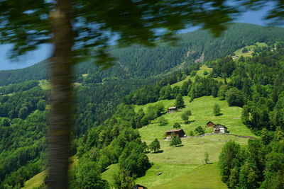 High angle view of trees on land