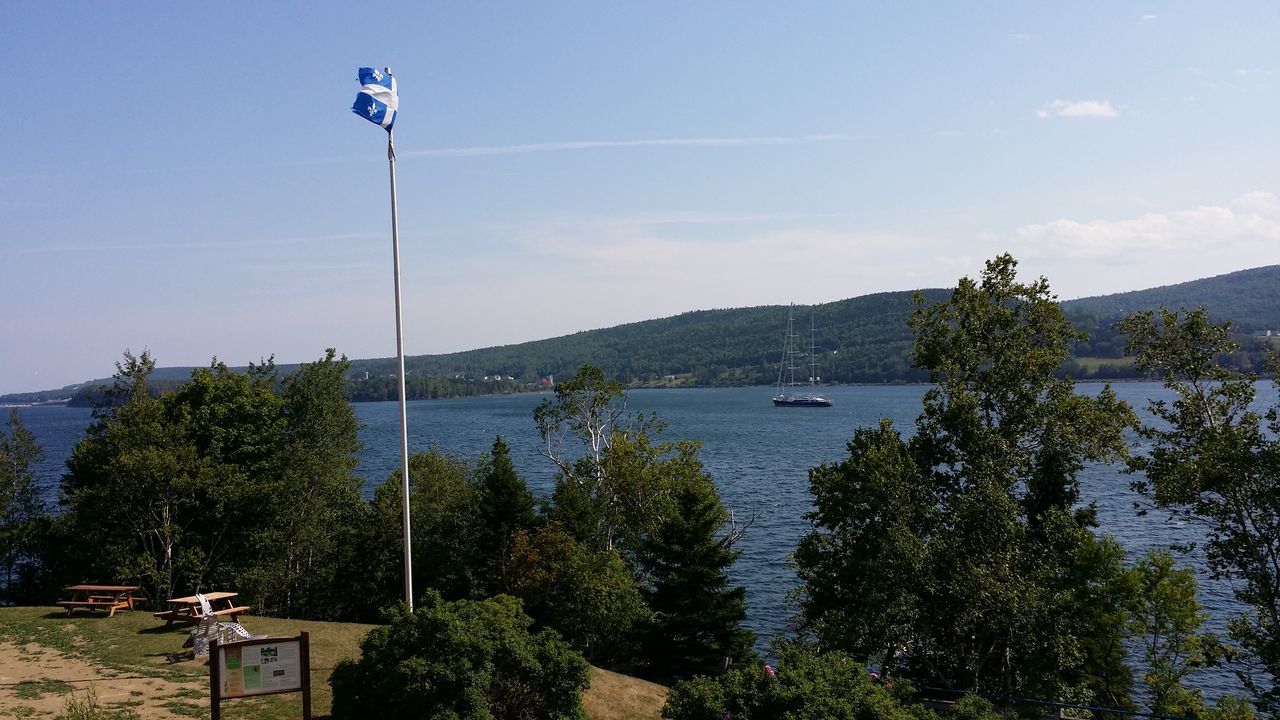 tree, plant, water, nature, day, lake, sports, hanging, reflection, beauty in nature, outdoors, leisure activity, snow, winter, sky, scenics - nature, rope, skiing, swing, one person, tranquility, mountain, lifestyles, land