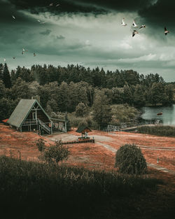 View of birds flying over field against sky